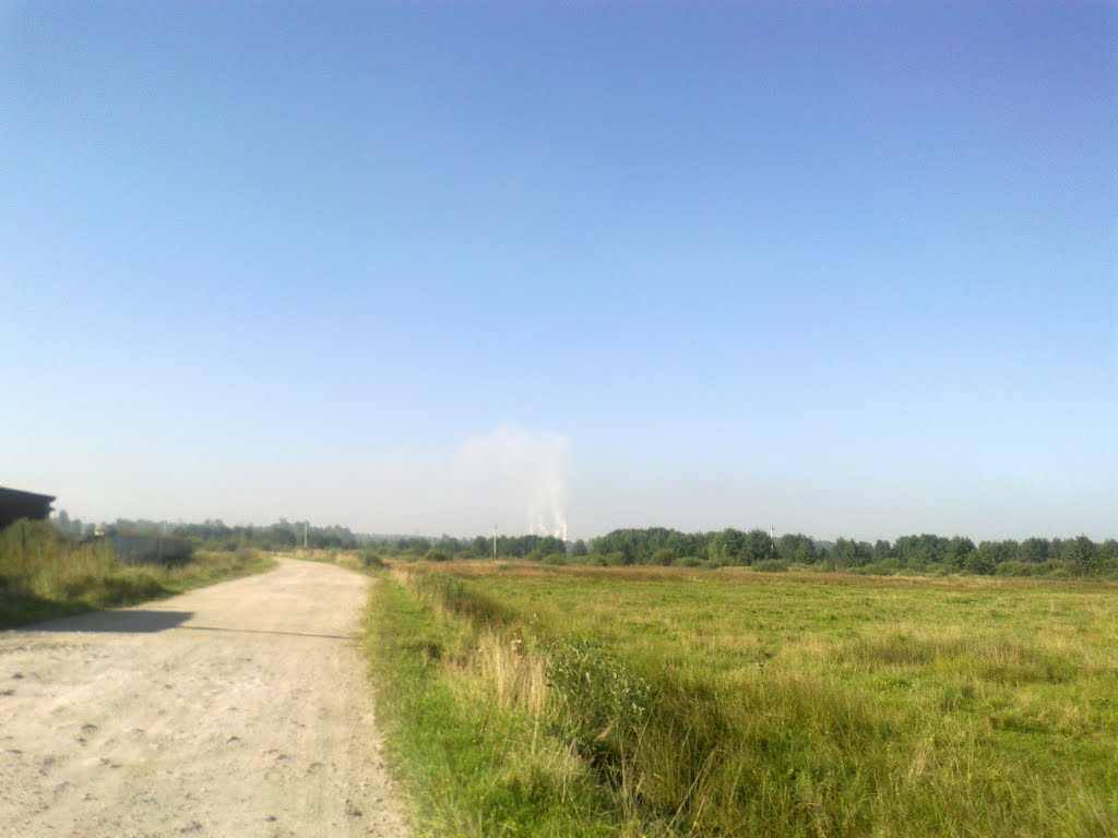 грунтовая дорога (17.08.2013)