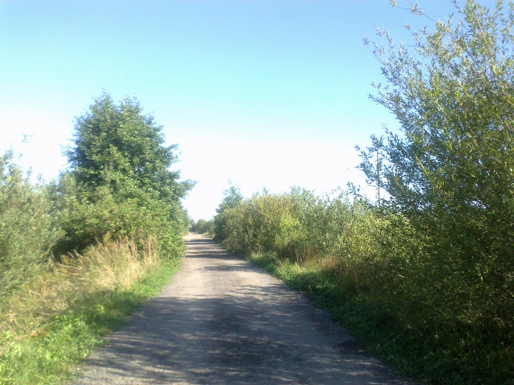 грунтовая дорога (17.08.2013)
