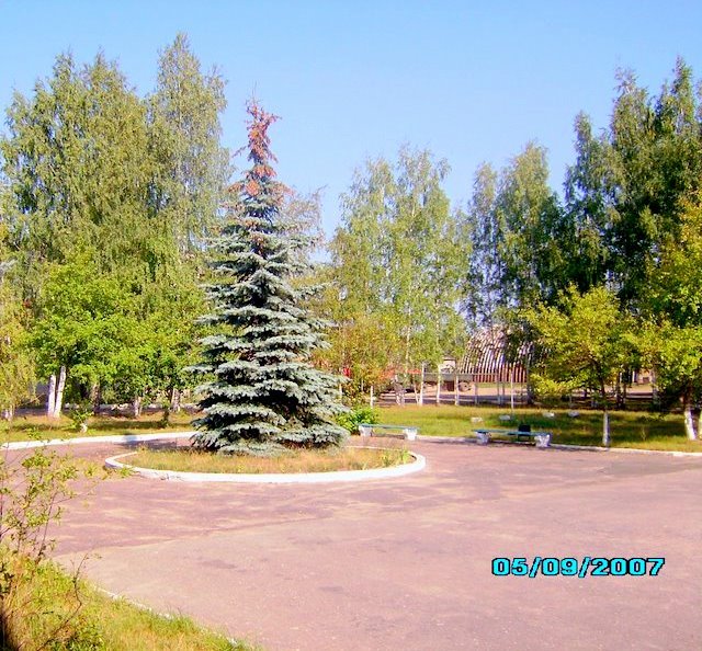 Территория ОАО"ССК"