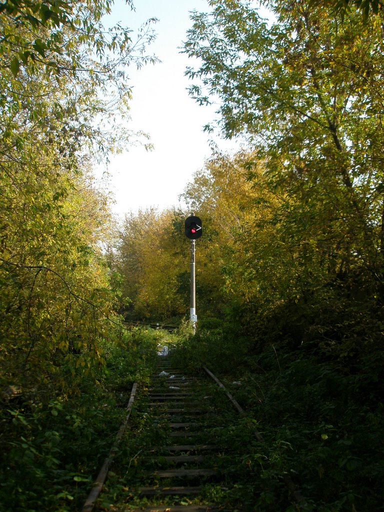 Нижегородский район