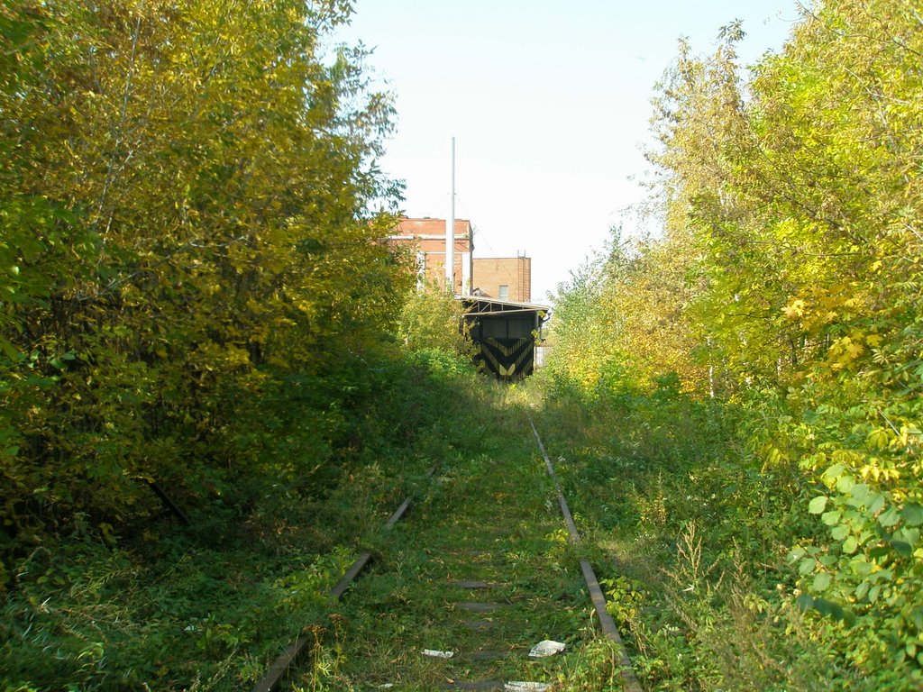 Нижегородский район