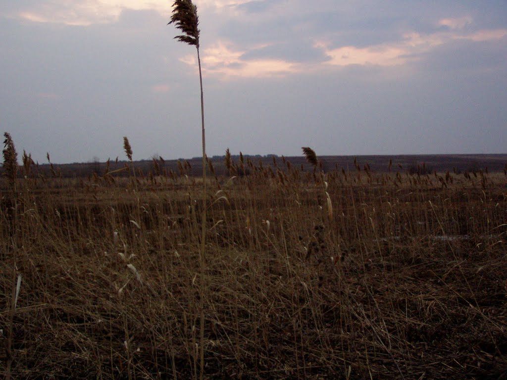 хмурое утро/Gloomy morning
