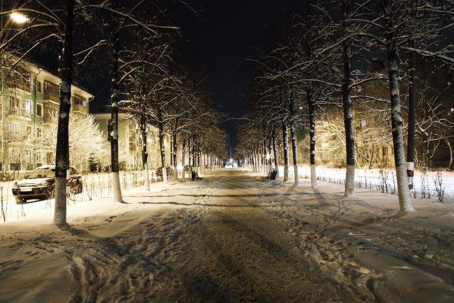 Дзержинск 11.12.2010.