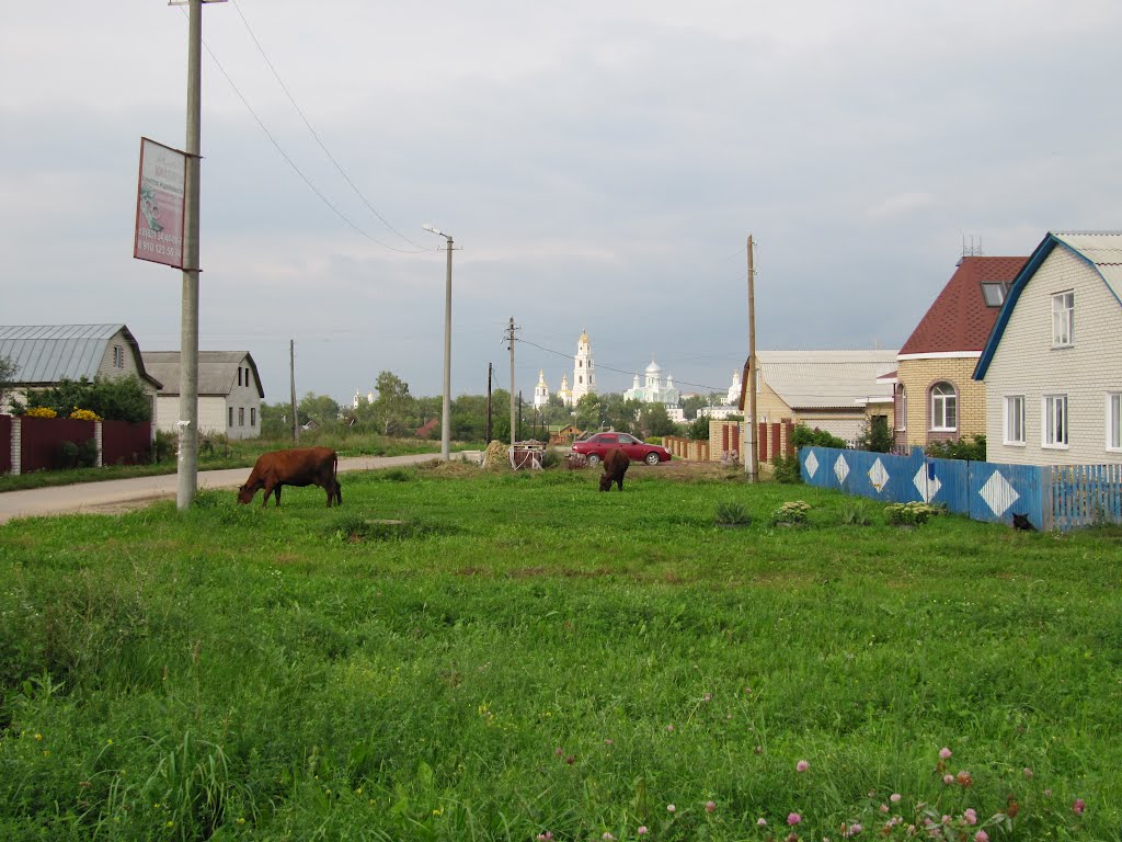 ►Дивеево. Дивеевская улица