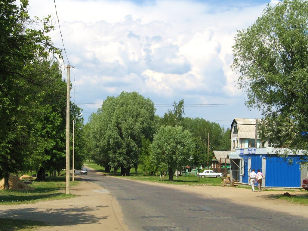 Из Выксы в Досчатое