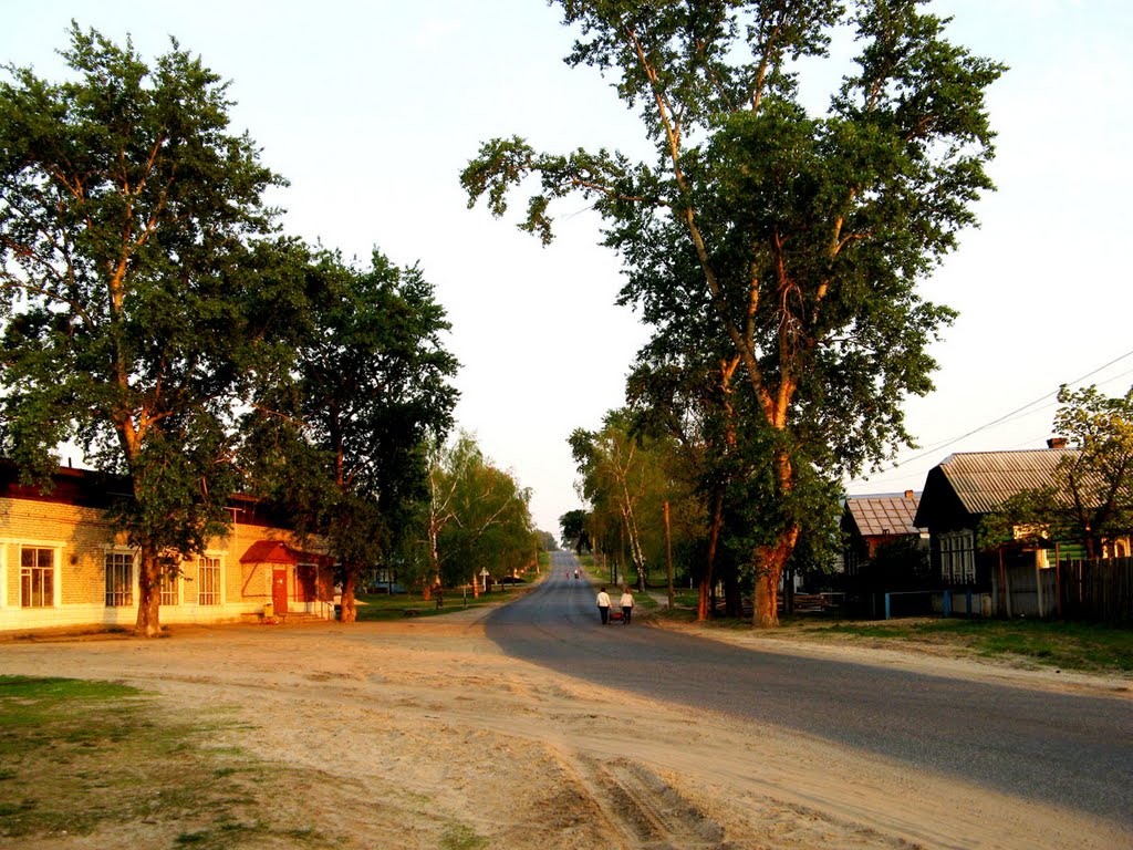 Дорога в Выксу