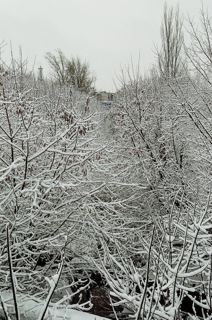 Zavolzhye. First winter days.