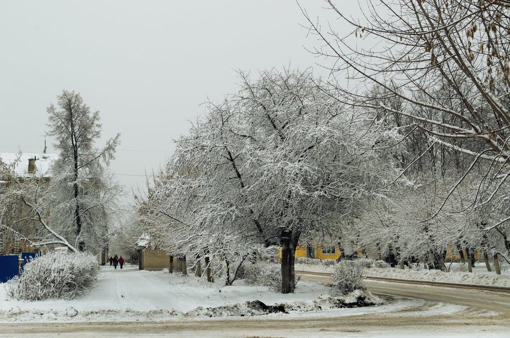 Zavolzhye. First winter days.
