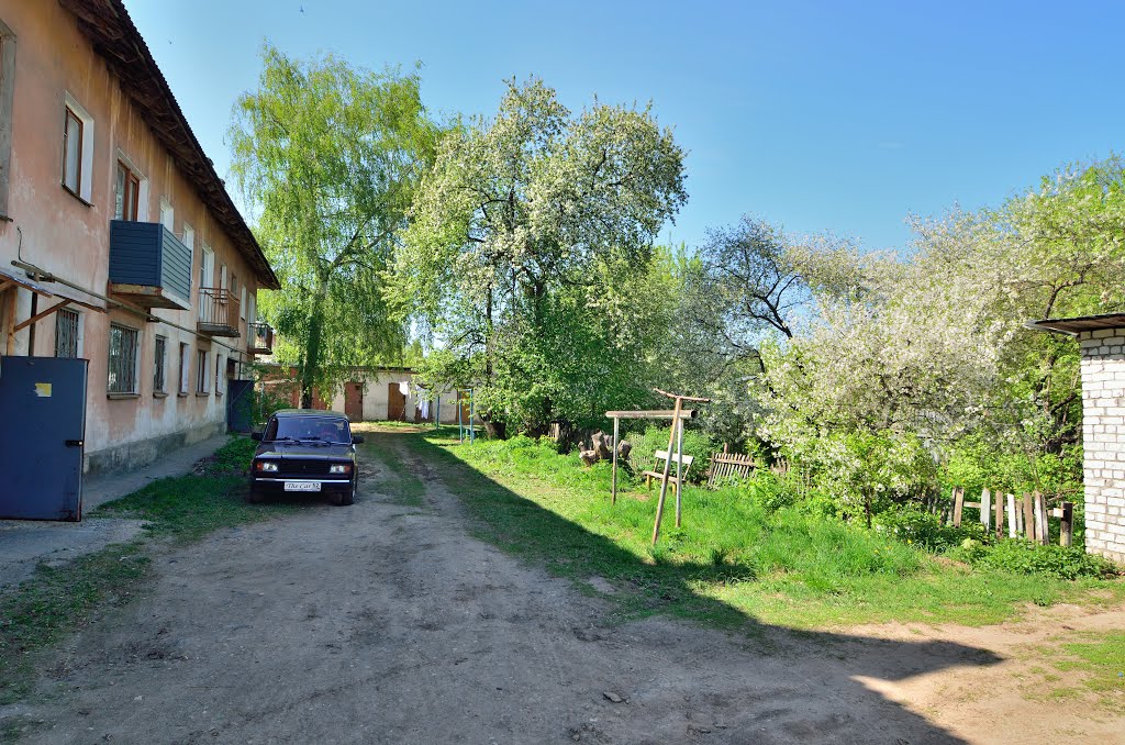 Zavolzhye. In the yard of the old house.