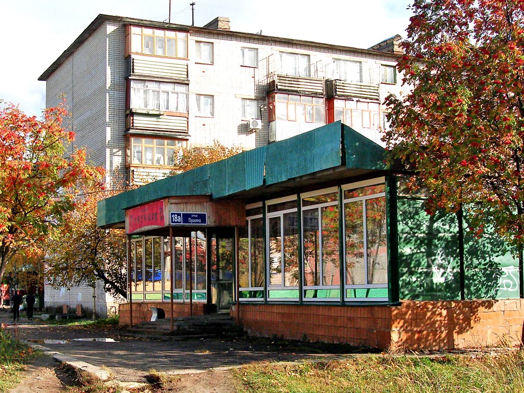 КАФЕ "ТЕРЕМОК"