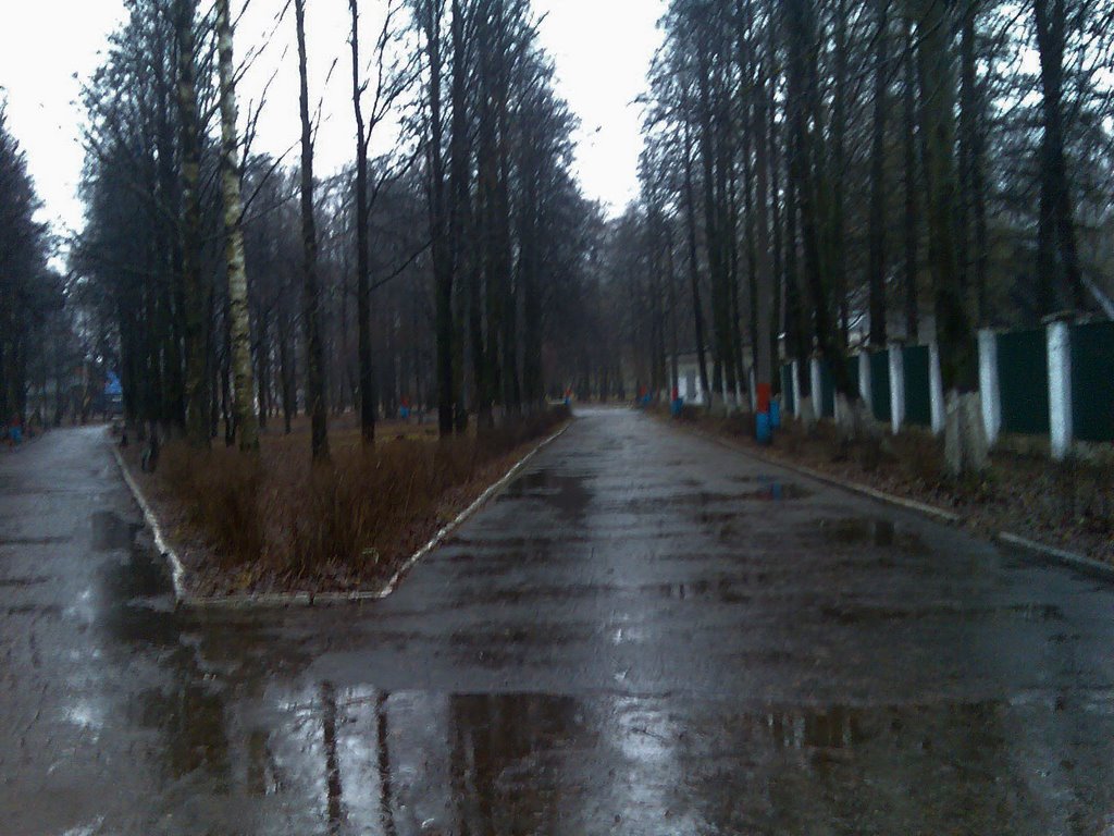 аллеи парка