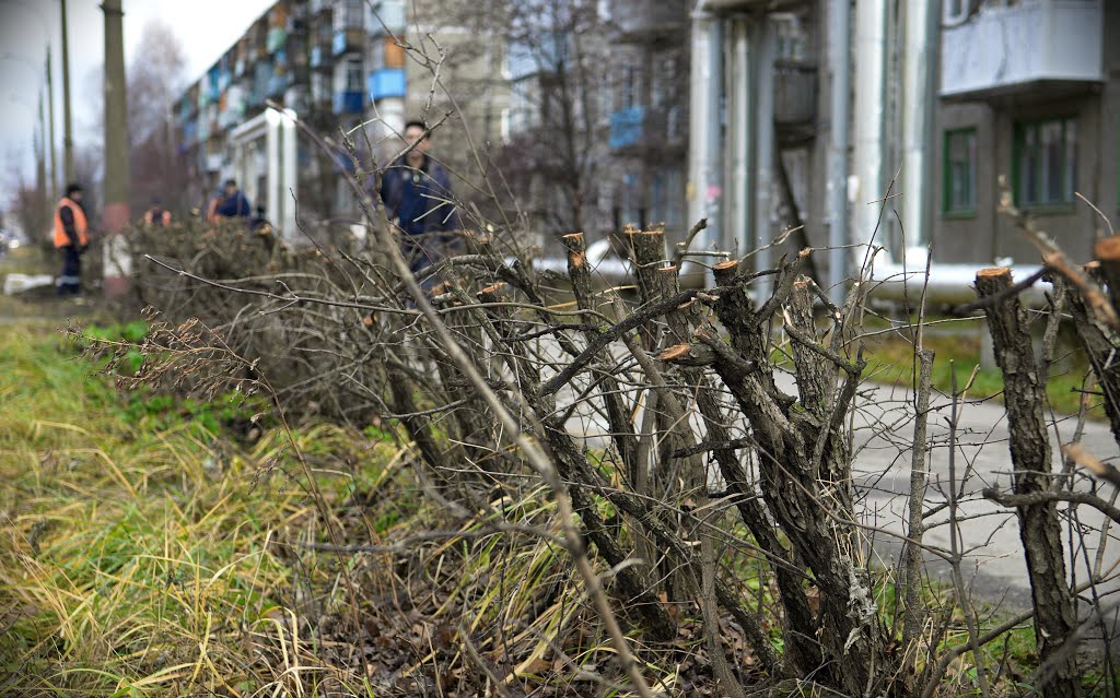 Заволжье. Осень. Стрижка города.