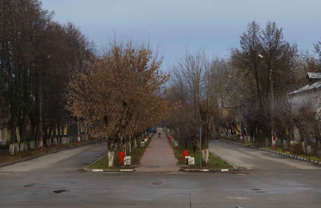 Заволжье. Проспект Мира. Осень-2013.