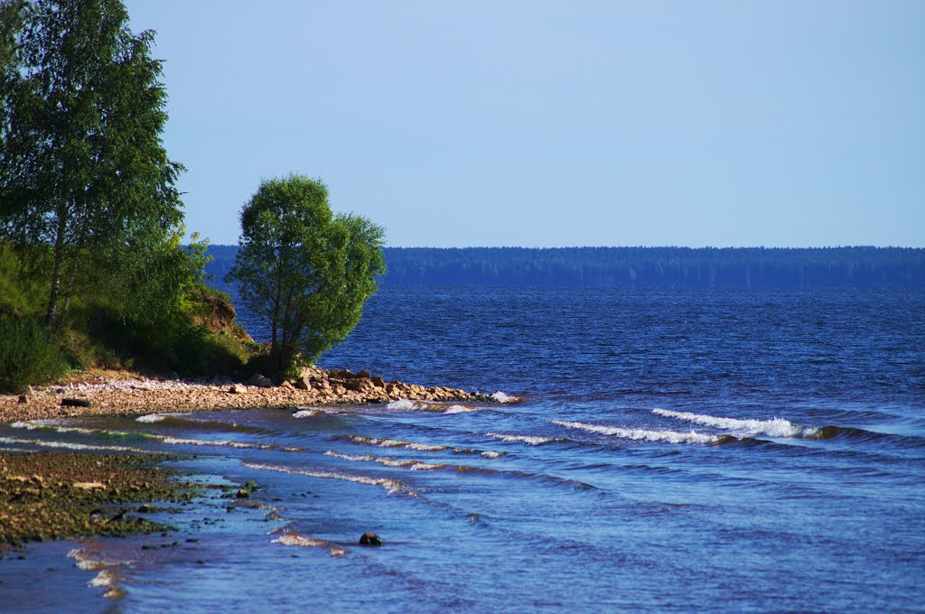 Coast of Gorky reservoir (Берег Горьковского водохранилища)