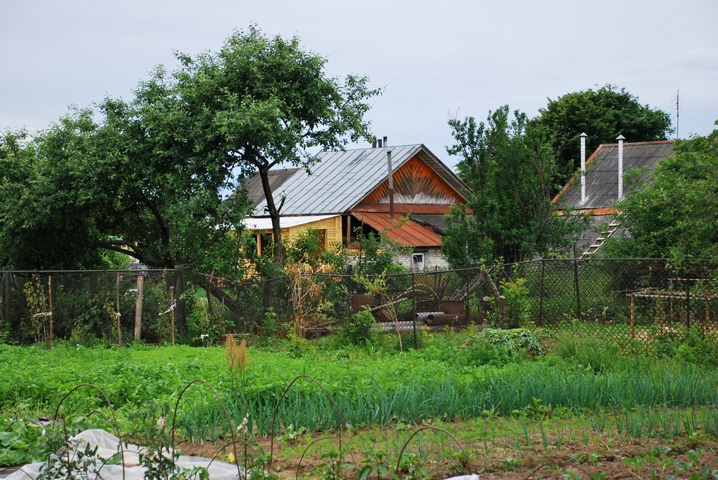 Катунки