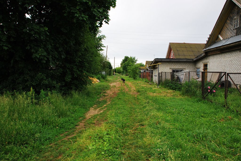 Катунки