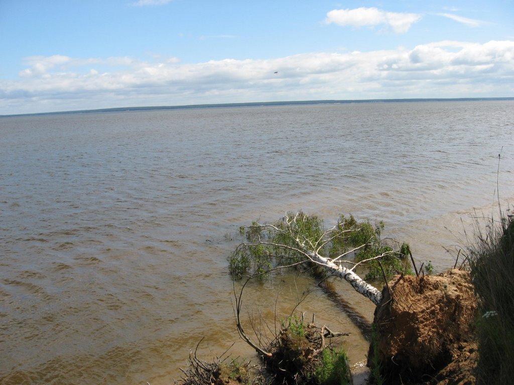 Gorky sea ("goremore")