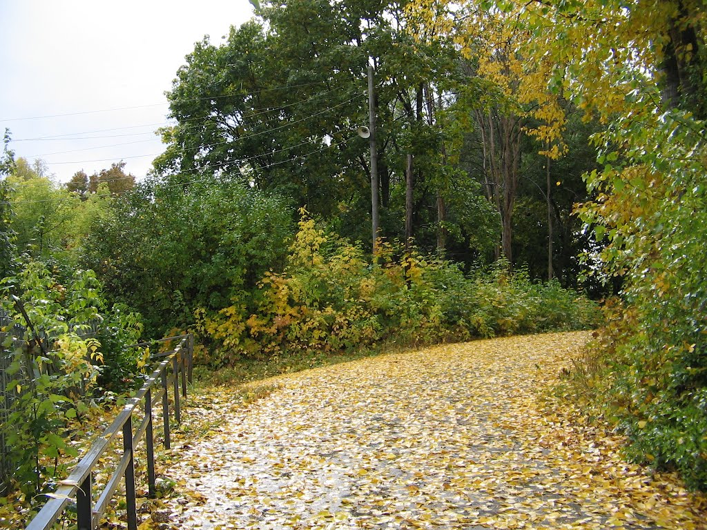 Катунки 1.10.11 дорога от храма