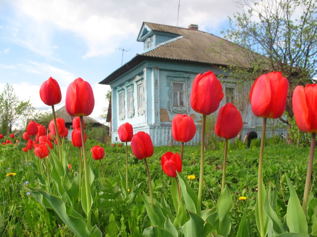 House in Kerzhenets village