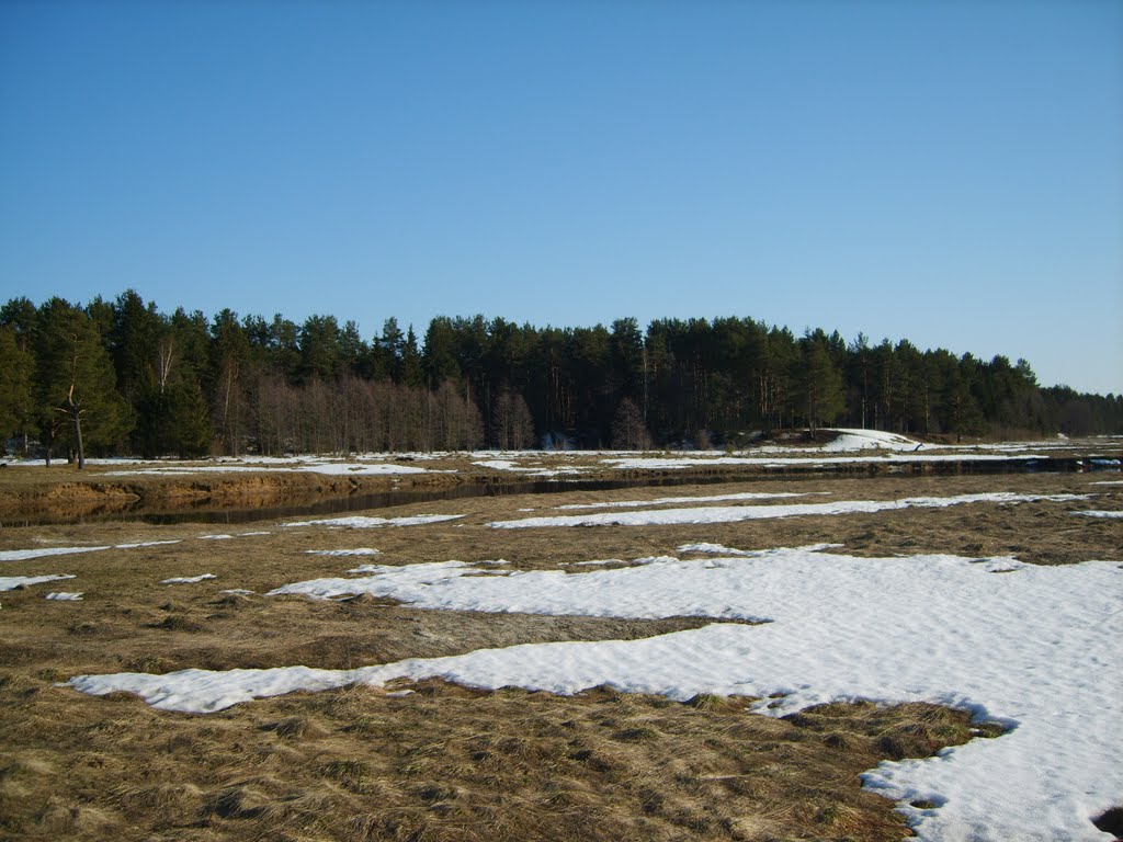 Весна 2008. Узола.