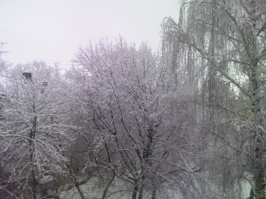 Конец марта на ул. Мира