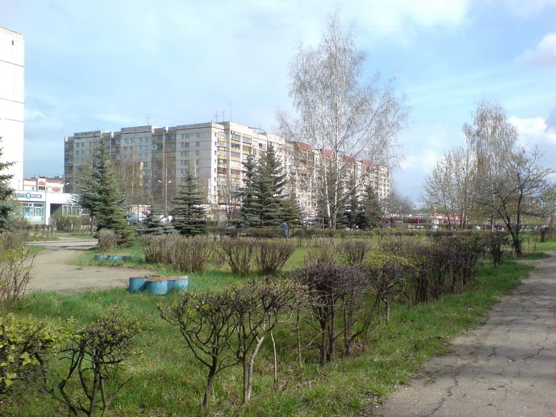 Вид на ТЦ