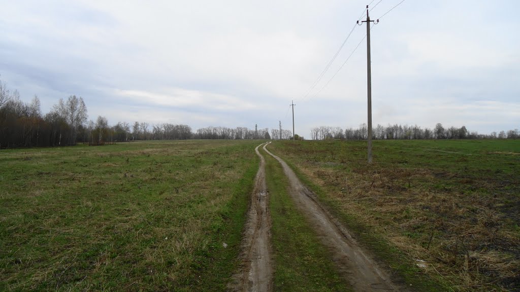 Дорога к очистным