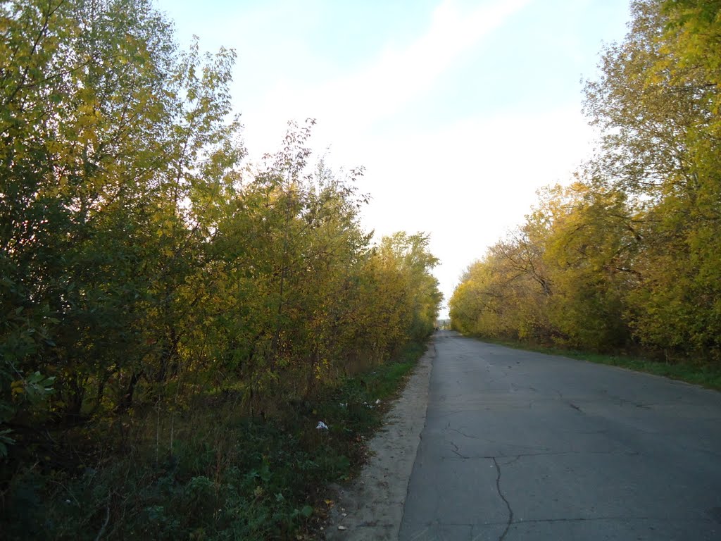 Мурзичная дорога