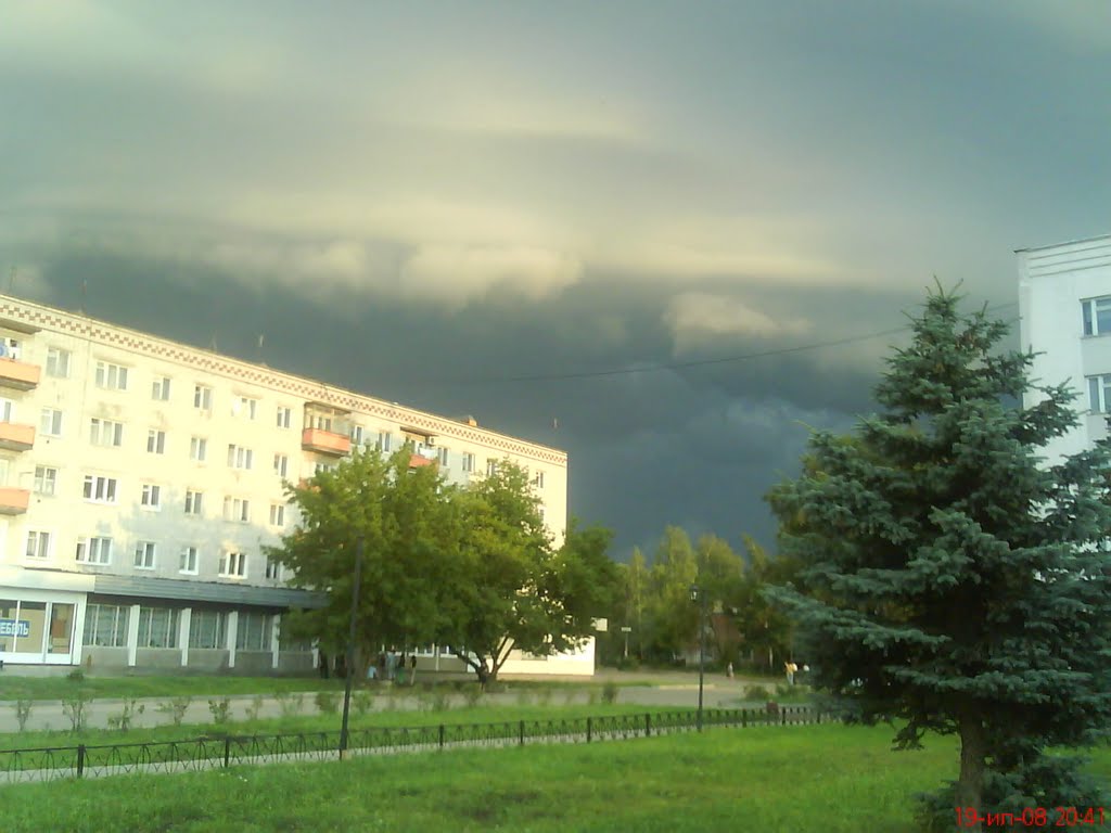 Фиалка