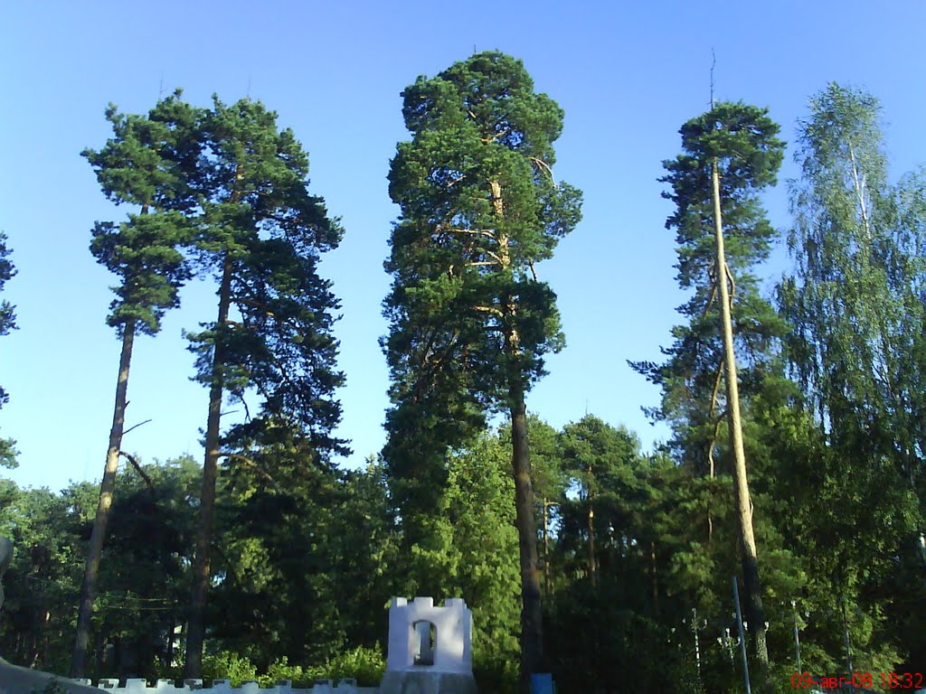 Островок 4