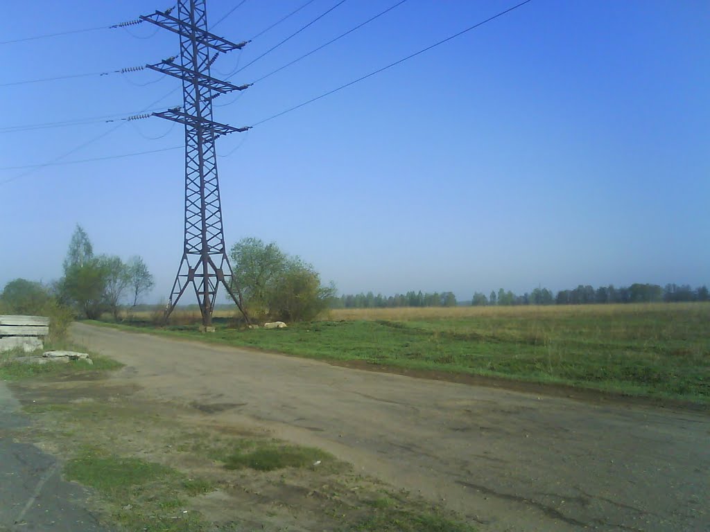 Дорога в сады