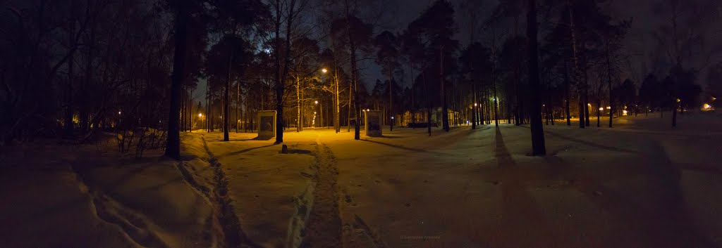 Зимняя ночь в городском парке