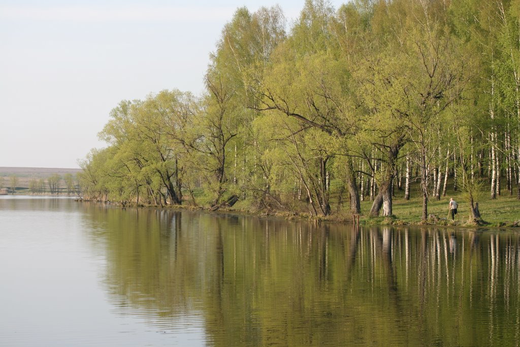 Лукоянов (пруд)