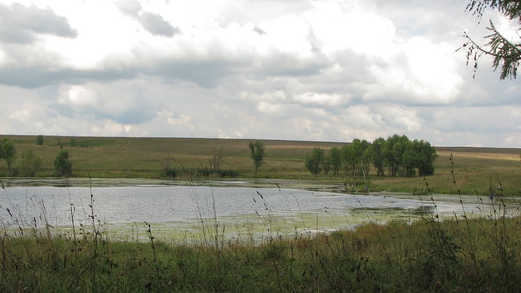 2009,  Лукоянов