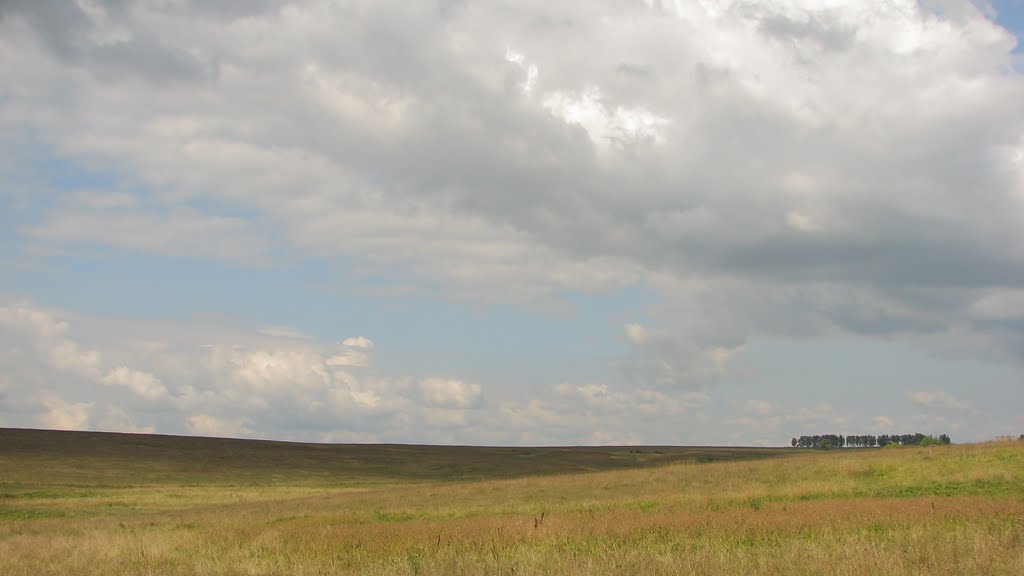2009,  Лукоянов