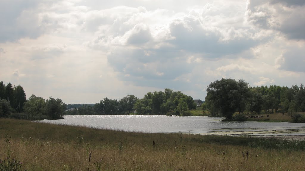 2009,  Лукоянов