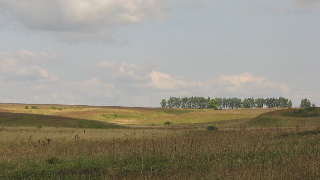 2009,  Лукоянов