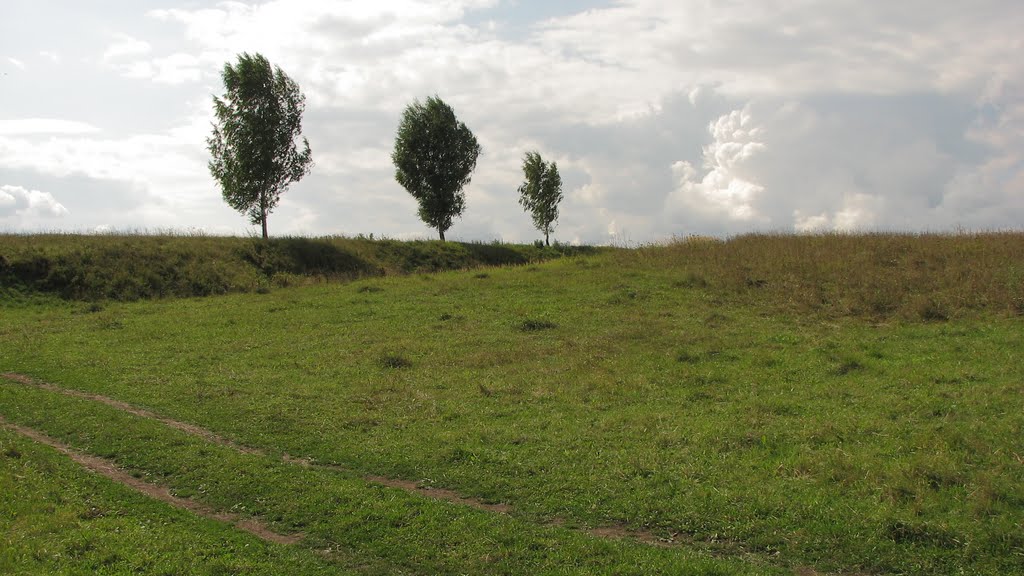 2009,  Лукоянов