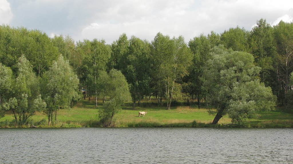 2009,  Лукоянов