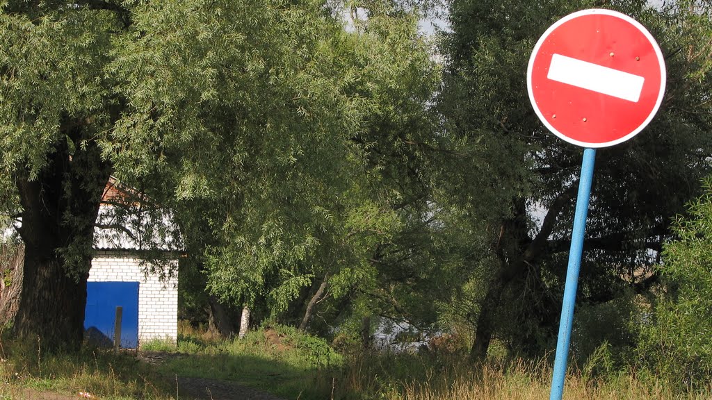 2009,  Лукоянов