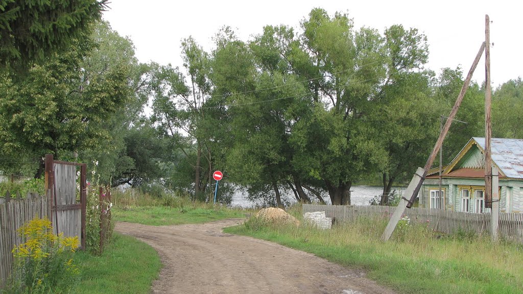 2009. Лукоянов