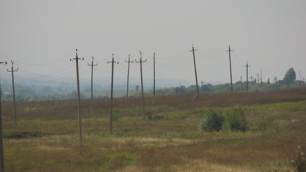 2009. Лукоянов