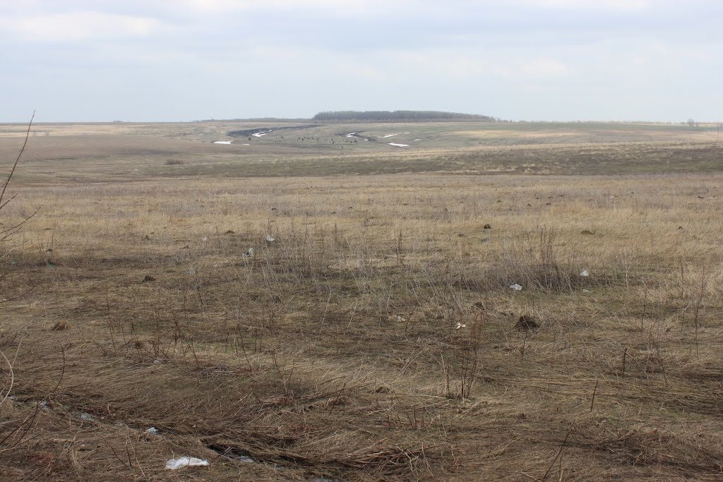 Landfurther