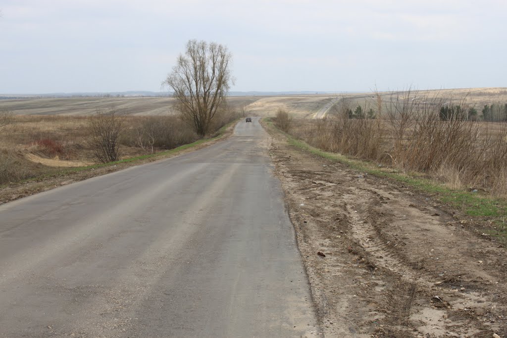 road out of Lukoyanov