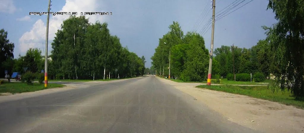 Улица Мичурина