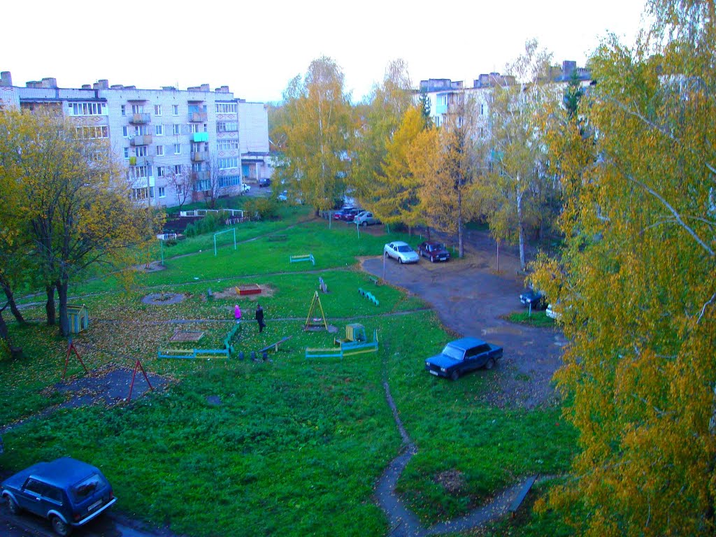 Наш дворик