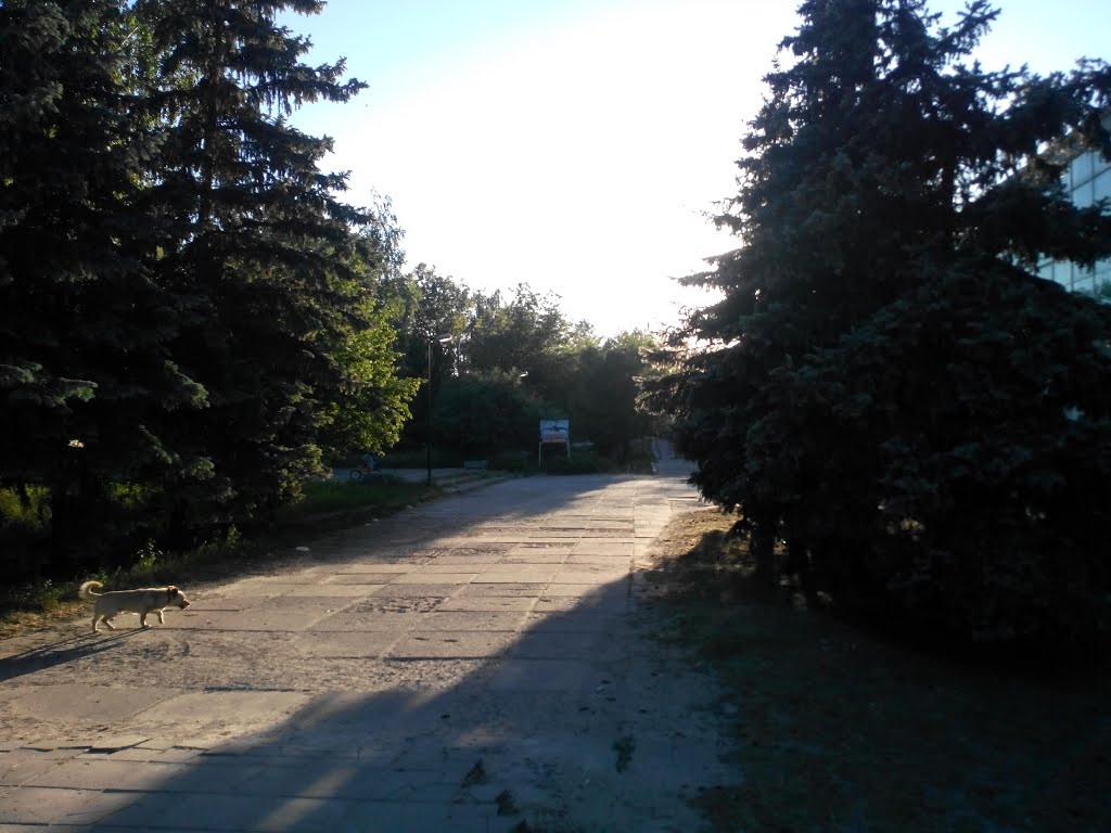 Prospect Korabelov