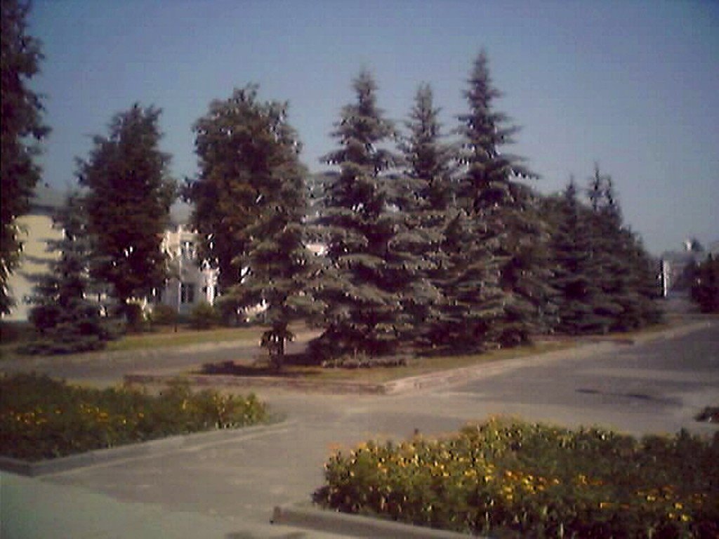 Y ZAGSA