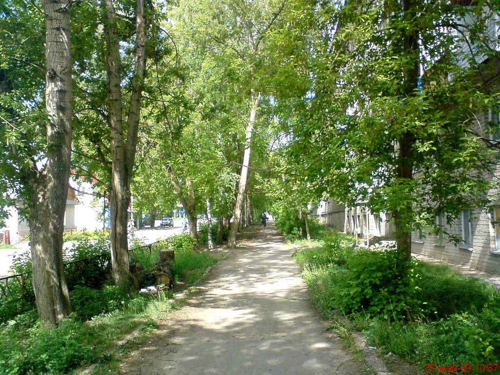 Майское Утро