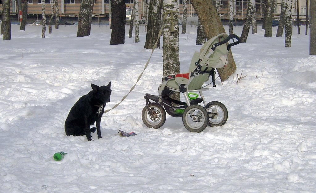 пиво кончилось, а они все гуляют...